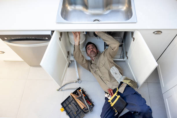 Best Hot Water Heater Installation  in Oquawka, IL