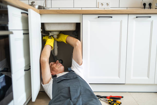 Best Best Plumbers Near Me  in Oquawka, IL