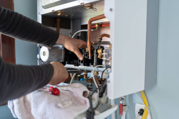 Best Plumbing Repair Near Me  in Oquawka, IL